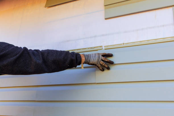 Best Fiber Cement Siding Installation  in Pine Hills, CA